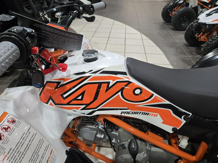 2025 KAYO PREDATOR 110