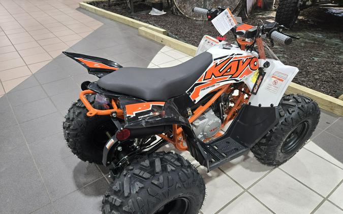 2025 KAYO PREDATOR 110