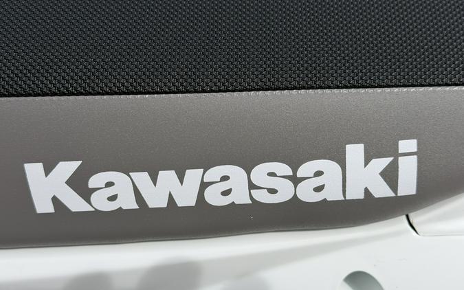 2026 KAWASAKI KLX110R - JP04223