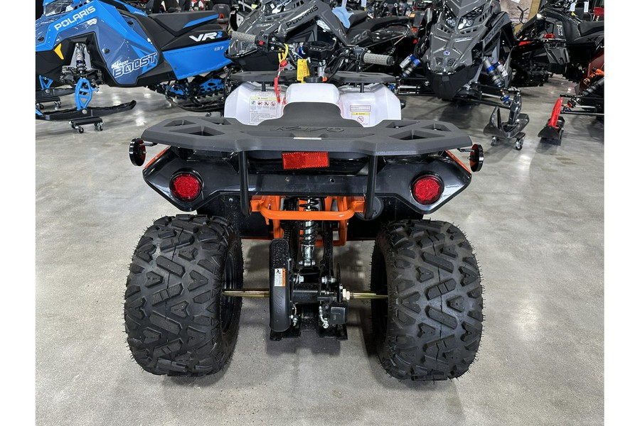 2025 Bull 125 - Kayo