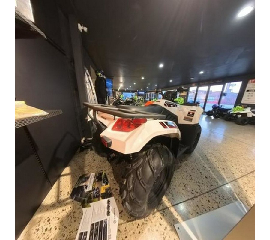 2025 Kawasaki Brute Force 450 4x4