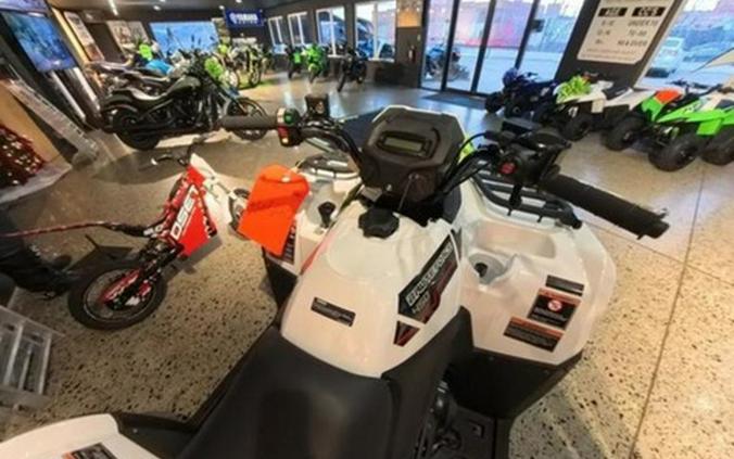 2025 Kawasaki Brute Force 450 4x4