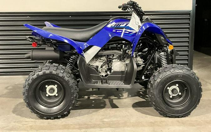 2026 Yamaha Raptor 110