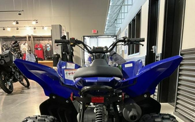 2026 Yamaha Raptor 110
