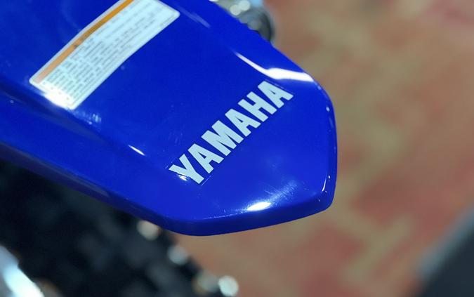 2026 Yamaha TT-R230