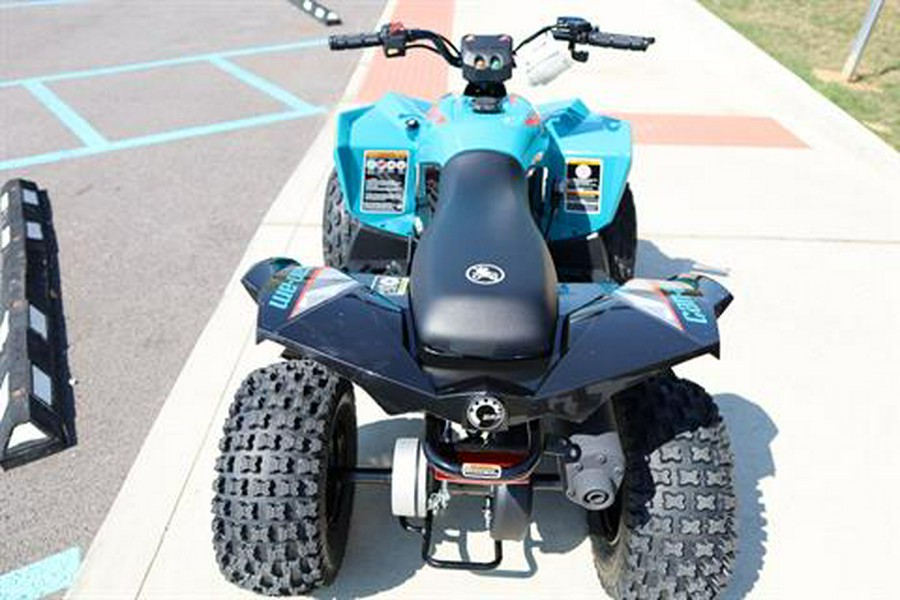 2026 Can-Am Renegade 70 EFI