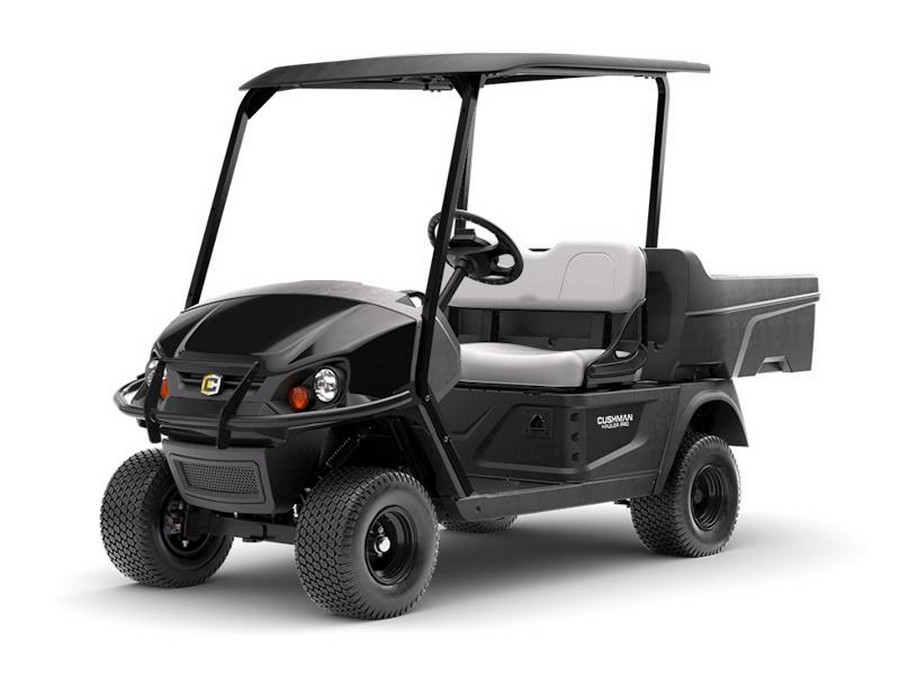 2026 Cushman® Hauler 800 Commercial Gas