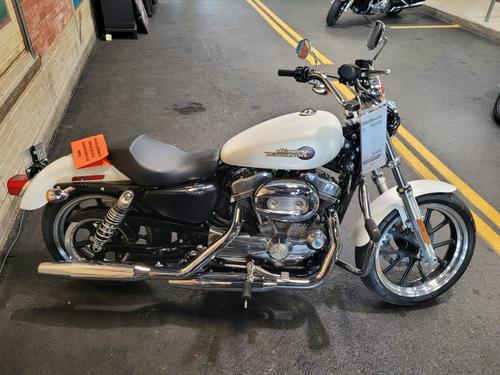 2019 Harley Sportster Superlow vs. 2019 Honda Shadow Phantom