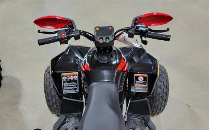 2024 Can-Am Renegade X XC 110 EFI