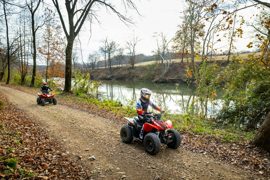 2024 Honda TRX90X