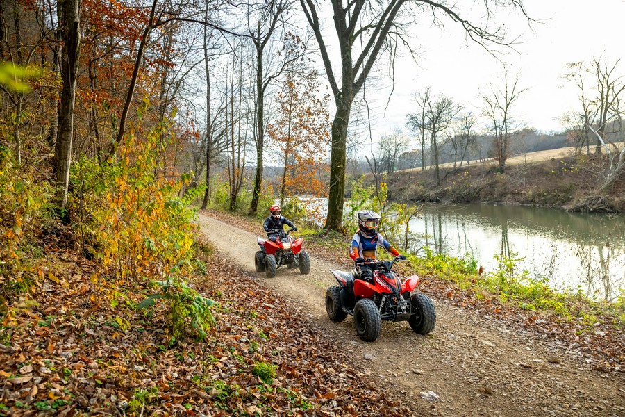 2024 Honda TRX90X