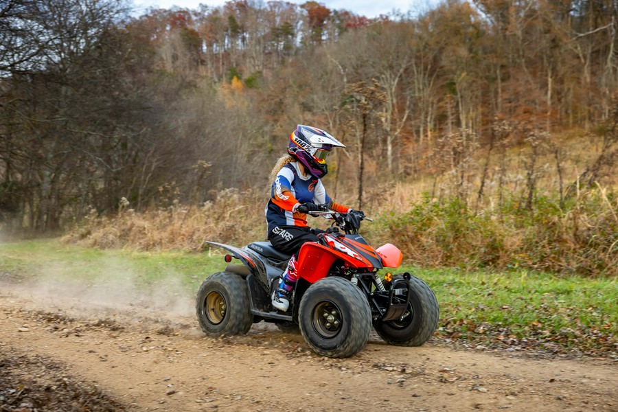 2024 Honda TRX90X