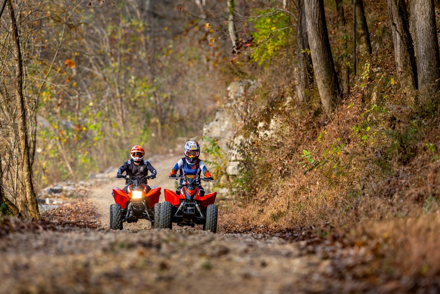 2024 Honda TRX90X