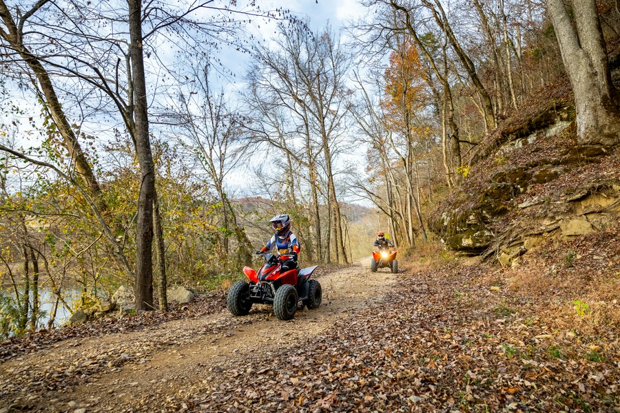 2024 Honda TRX90X