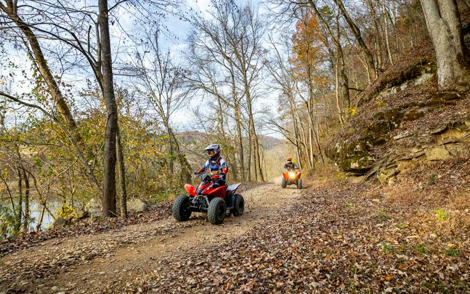 2024 Honda TRX90X