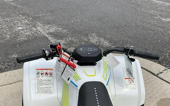 2024 CFMOTO CFORCE EV110