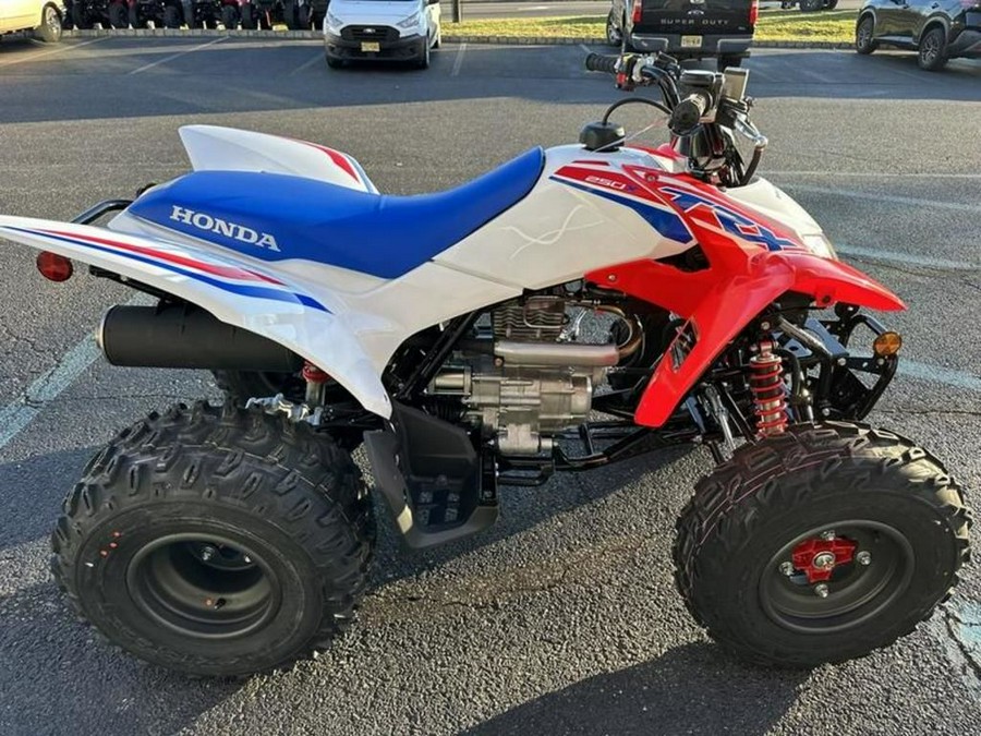 2026 Honda® TRX250X