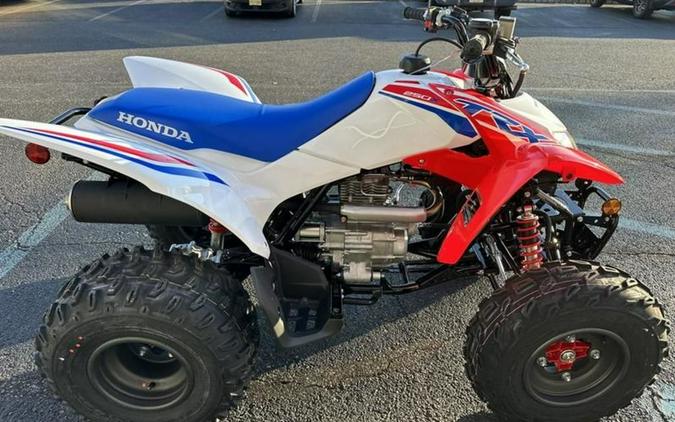 2026 Honda® TRX250X