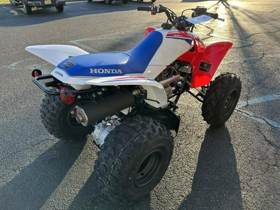 2026 Honda® TRX250X