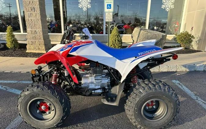 2026 Honda® TRX250X