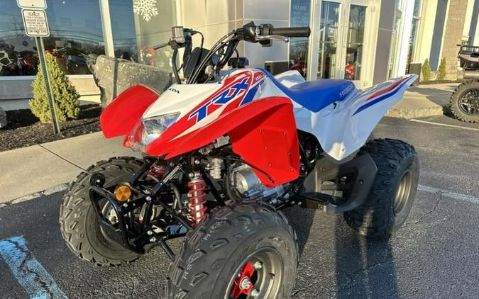 2026 Honda® TRX250X