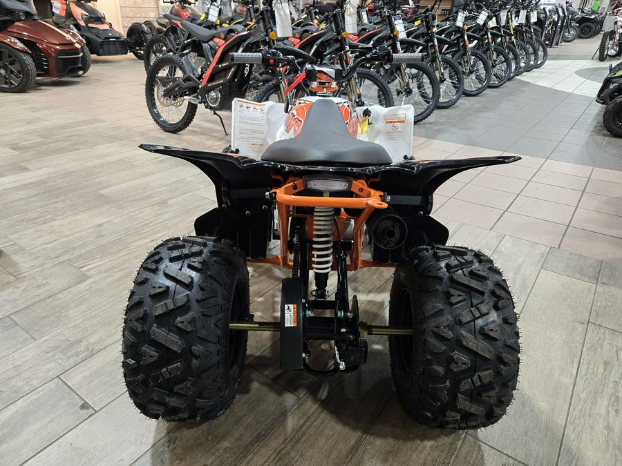 2026 KAYO PREDATOR 110