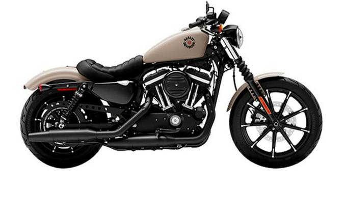 2022 Harley-Davidson Iron 883 Review [Air-Cooled Sportster]