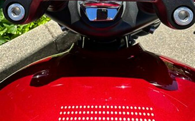 2025 Triumph Bonneville T120 Elvis Presley Limited Edi