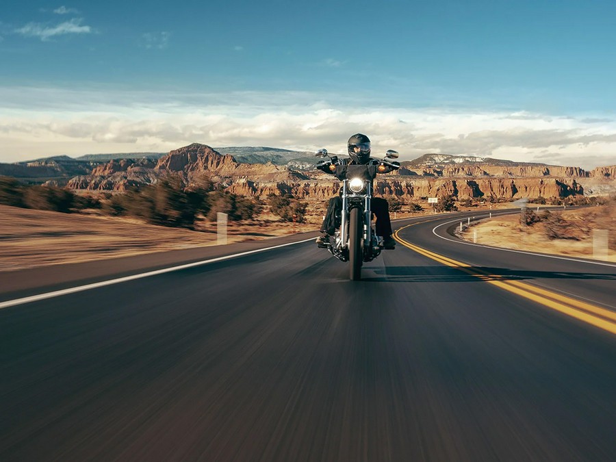 2023 Harley-Davidson Softail® Standard