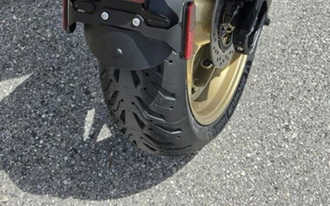 2026 Triumph Trident 800 Jet Black