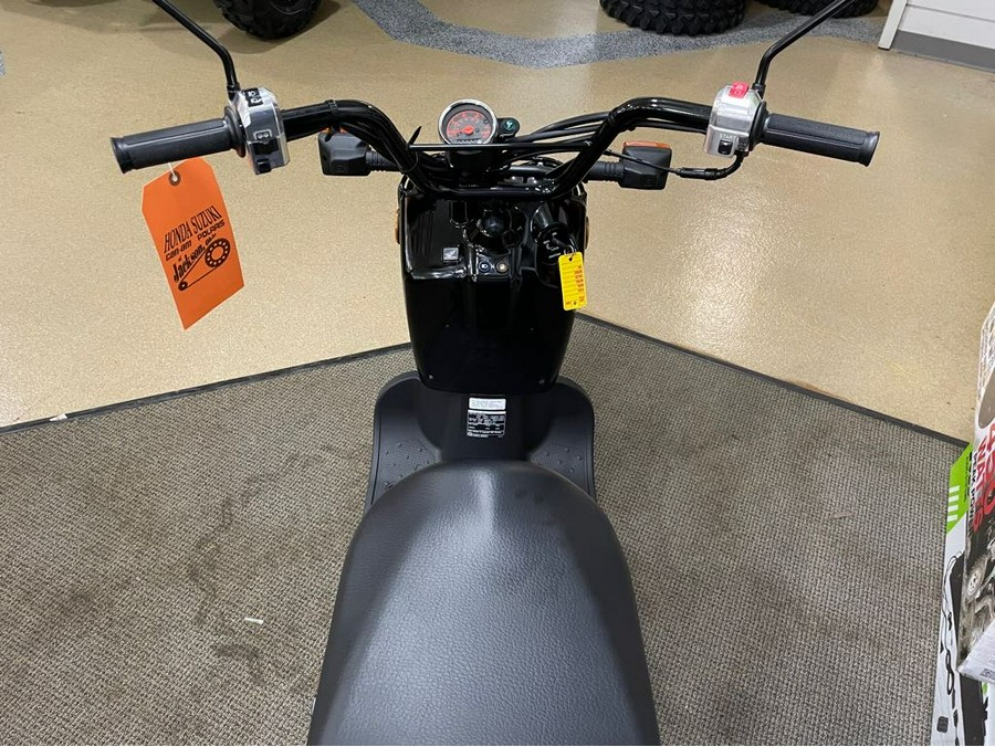 2024 Honda Ruckus