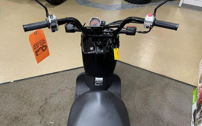 2024 Honda Ruckus