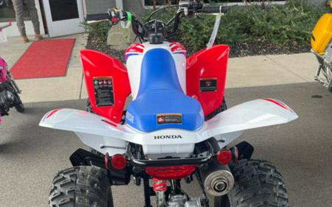 2026 Honda® TRX250X