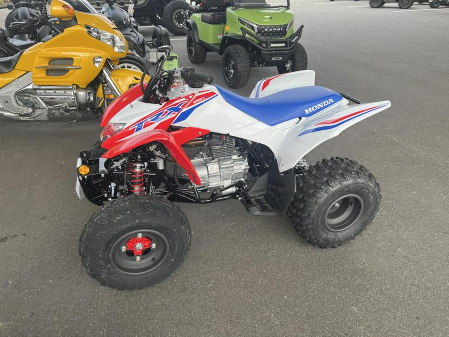 2026 Honda® TRX250X