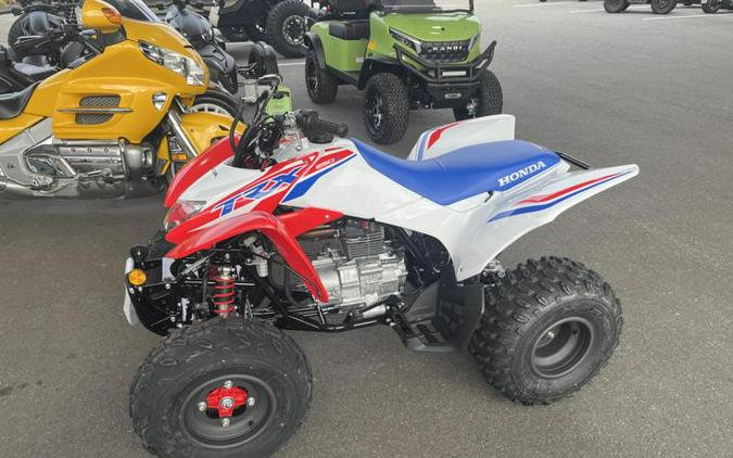 2026 Honda® TRX250X