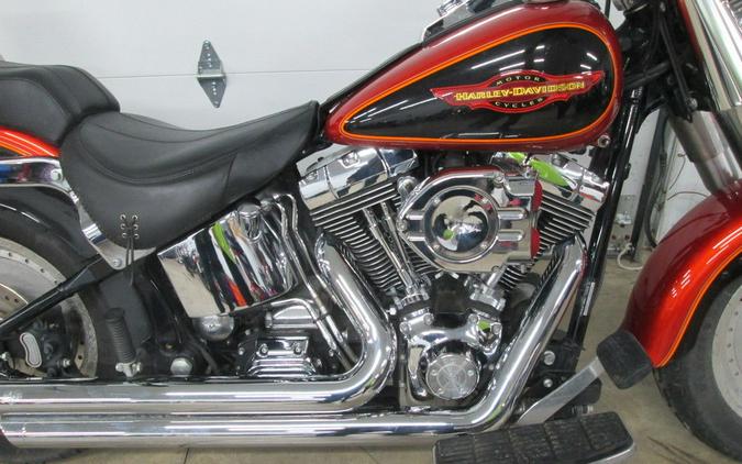 2005 Harley-Davidson® FLSTF - Fat Boy®