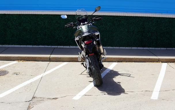 2025 Tiger 900 Rally Pro