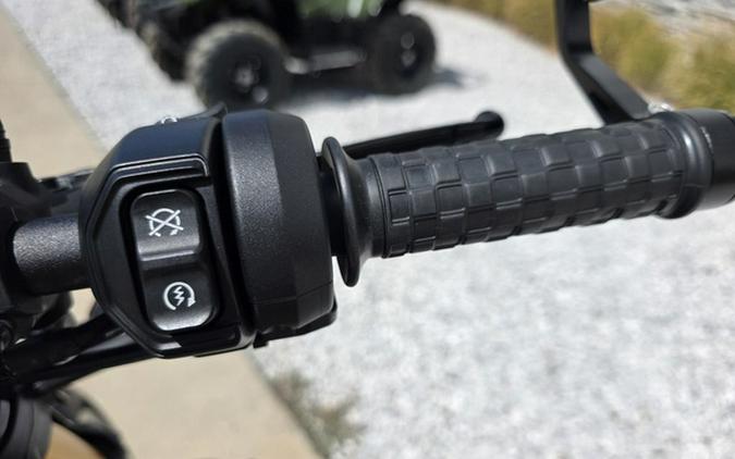 2023 Indian FTR R Carbon Carbon Fiber