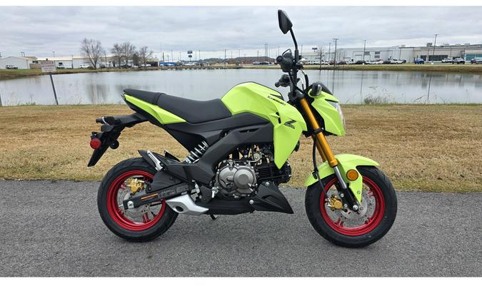 2026 Kawasaki Z125 PRO