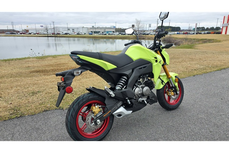 2026 Kawasaki Z125 PRO