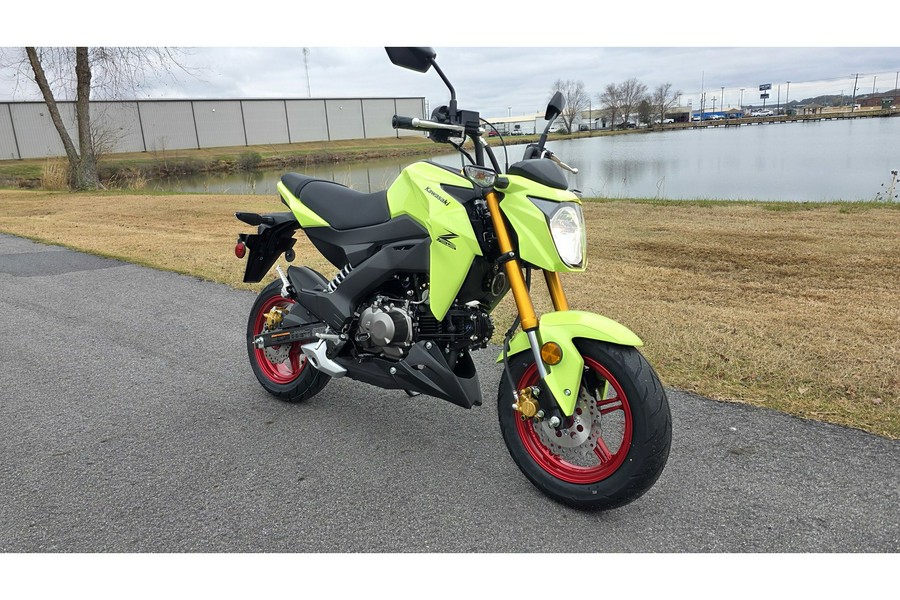 2026 Kawasaki Z125 PRO