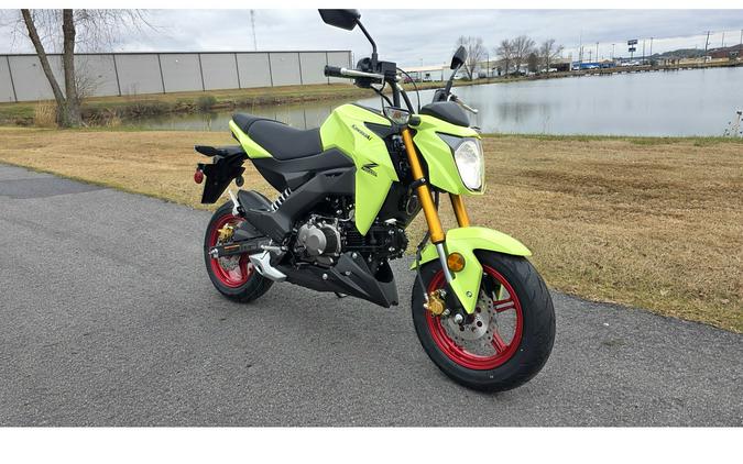 2026 Kawasaki Z125 PRO