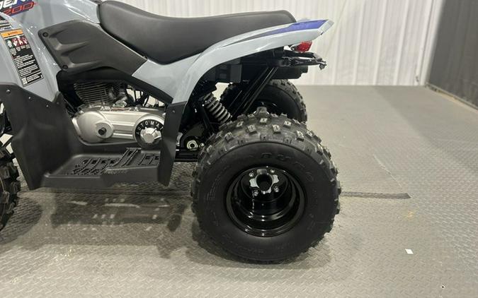 2026 Polaris Phoenix 200