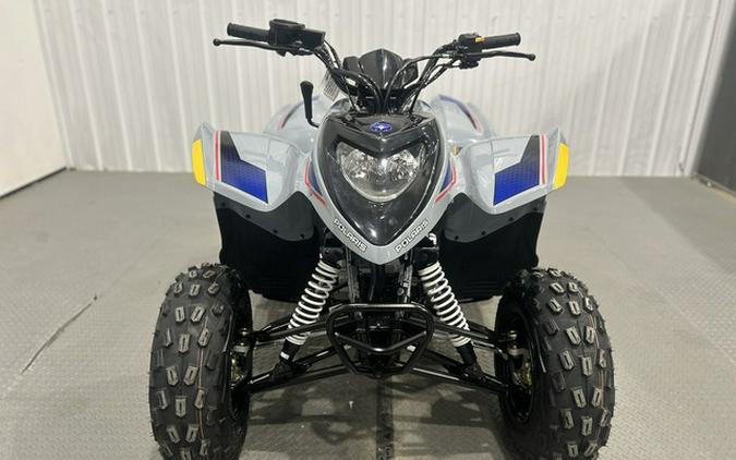 2026 Polaris Phoenix 200