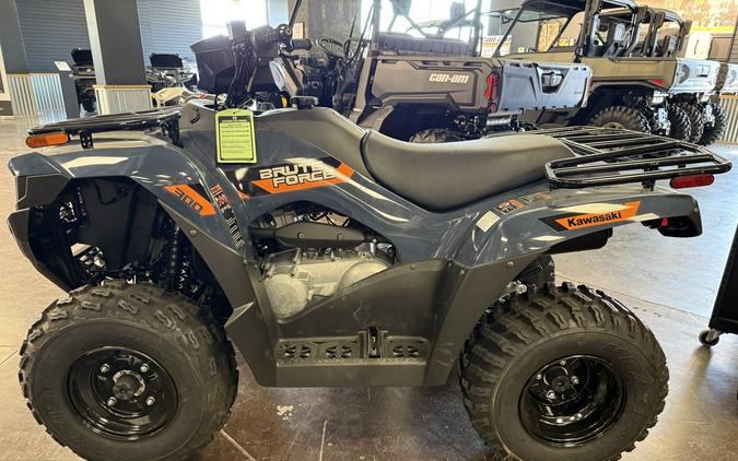 2026 Kawasaki Brute Force 300