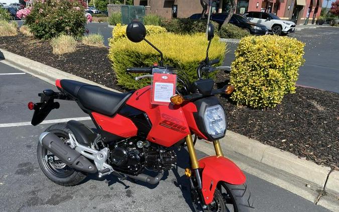 2025 Honda® Grom