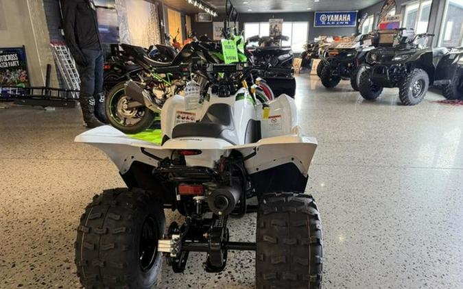 2026 Kawasaki KFX 90