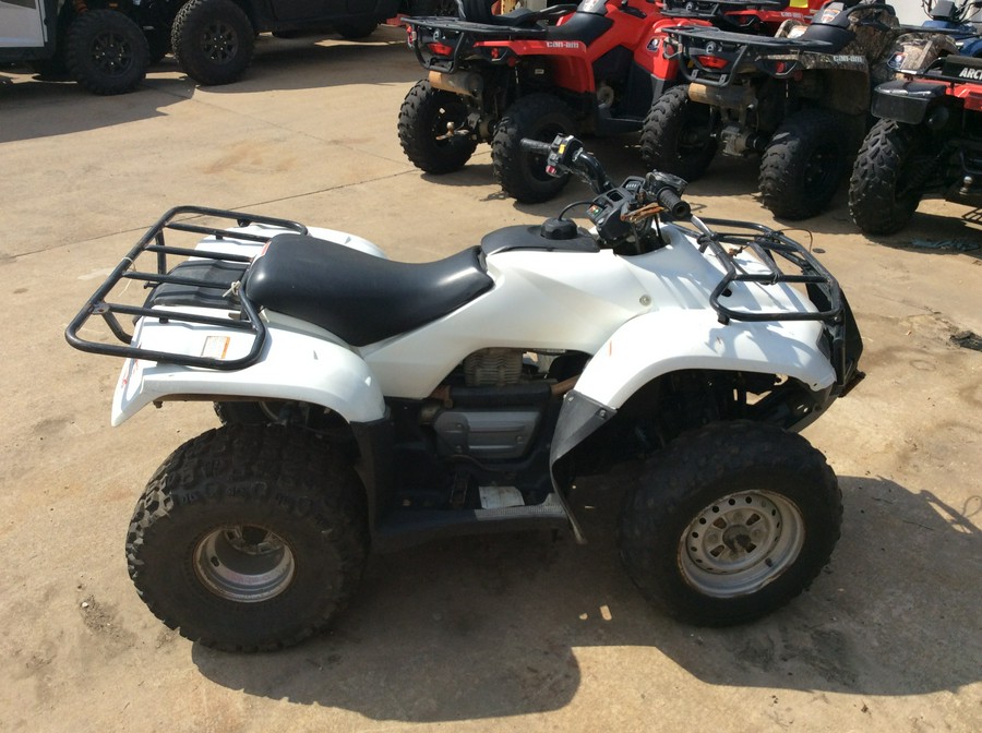 2009 Honda FourTrax Recon® ES