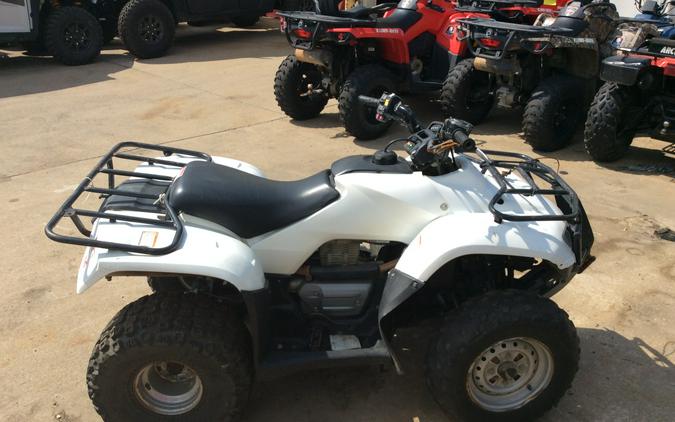 2009 Honda FourTrax Recon® ES