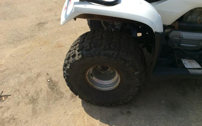 2009 Honda FourTrax Recon® ES